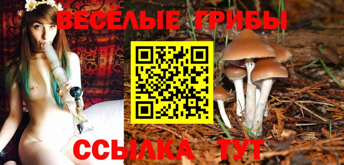 Воркута  закладки  Вход с VPN  Галлюциногенные грибы прущие грибы 
